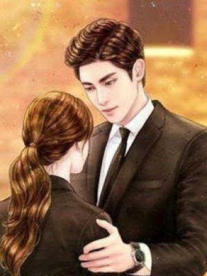 Nhật Kí Sủng Vợ Của Chồng Yêu