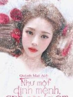 Như Một định Mệnh, Anh Gặp Lại Em