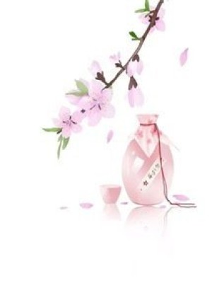 Nữ Phụ Gả Thay Bị Sủng Hằng Ngày