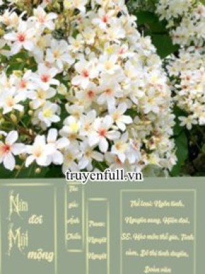 Nửa đời Một Mộng
