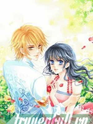 Perfect Couple