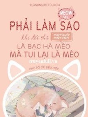 Phải Làm Sao Khi đối Thủ Một Mất Một Còn Là Cỏ Mèo Bạc Hà Mà Tui Lại Là Mèo