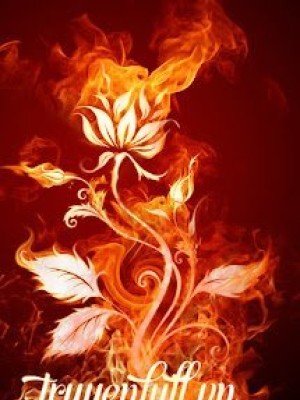 Phượng Hoàng Hồi Sinh