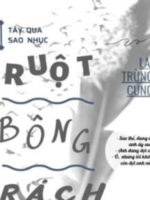 Ruột Bông Rách