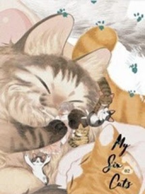 Sáu Con Mèo Tranh Nhau Muốn Nuôi Ta