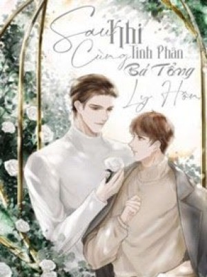 Sau Khi Cùng Tinh Phân Bá Tổng Ly Hôn