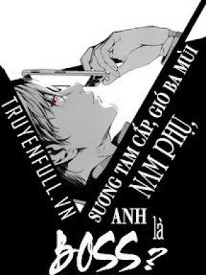 Sương tam cấp, gió ba mùi: nam phụ, anh là boss?