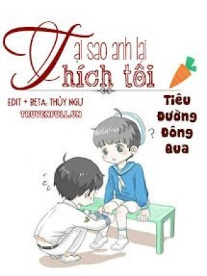 Tại Sao Anh Lại Thích Tôi