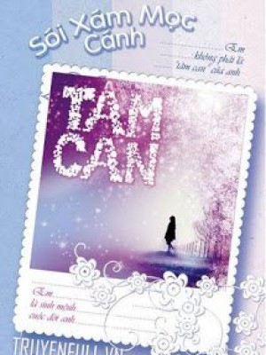 Tâm Can