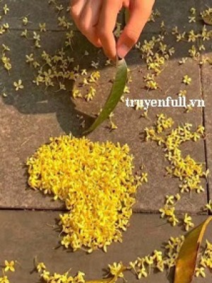 Tên Của Anh ấy