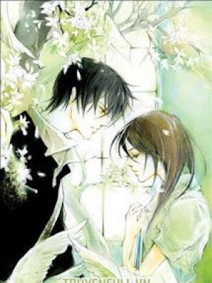 [tfboys] bồ công anh