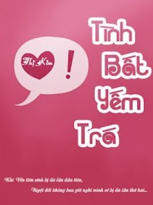 Tình Bất Yếm Trá