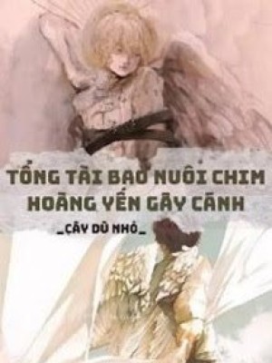 Tổng Tài Bao Nuôi Chim Hoàng Yến Gãy Cánh
