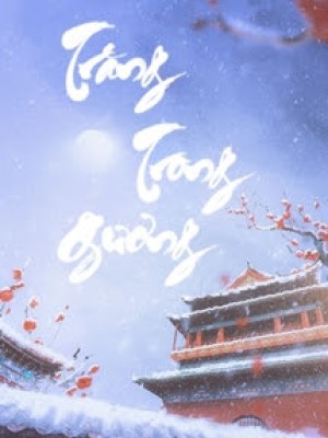 Trăng Trong Gương