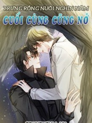 Trứng Rồng Nuôi Nghìn Năm Cuối Cùng Cũng Nở