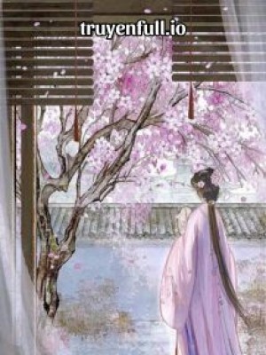 Từng Là Bóng Dáng Kinh Hồng Thoáng Qua