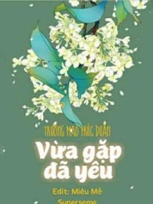 Vừa Gặp đã Yêu