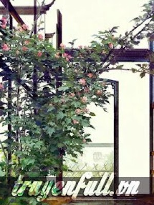 Xuyên Nhanh: Cứu Vớt Cuộc đời Nhân Vật Chính