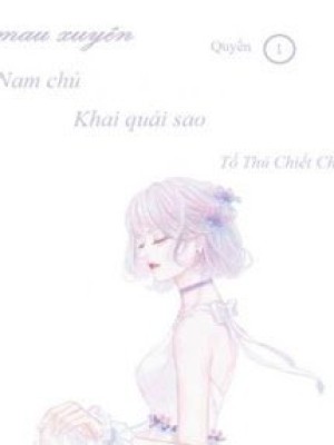 Xuyên Nhanh: Nam Chủ Khai Quải Sao?