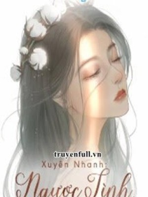 Xuyên Nhanh: Ngược Tình